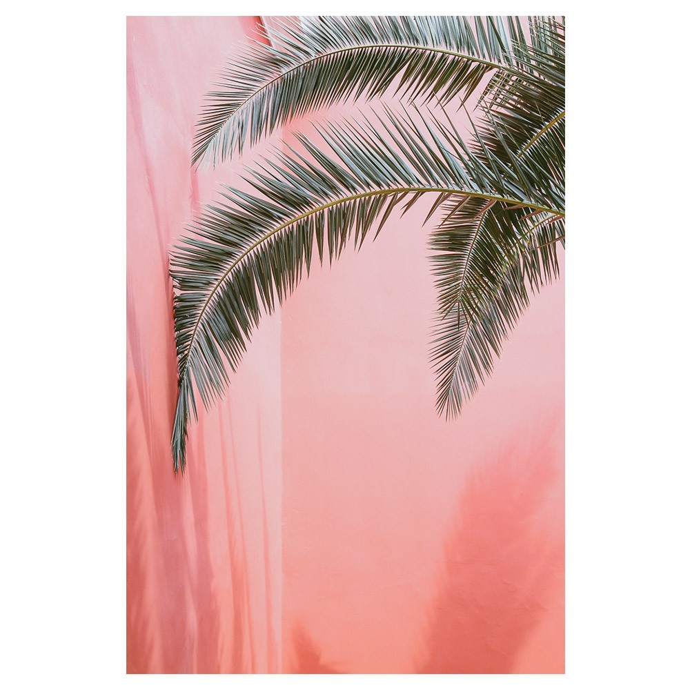 Palm op roze poster David & David Studio