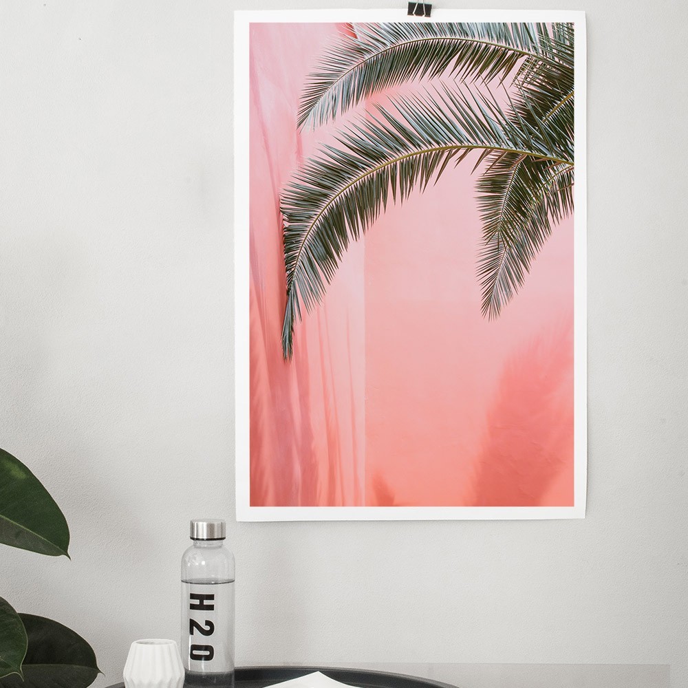 Affiche Palm on Pink David & David Studio