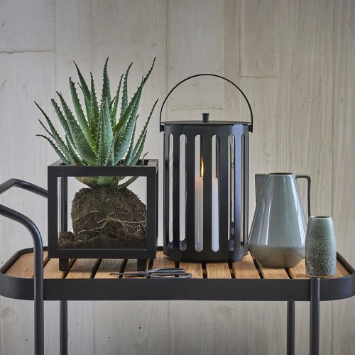 Carro con barra antivuelco gris Cane-line