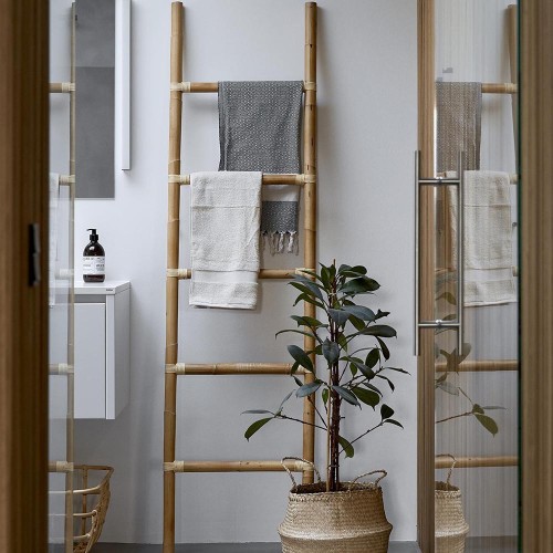 Leiter erklimmen Cane-line