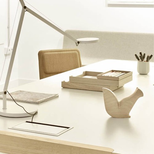 Quercia di Urtxintxa scoiattolo Alki