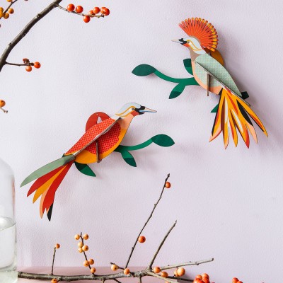 Decorazione Da Parete Paradise Bird Obi Studio Roof