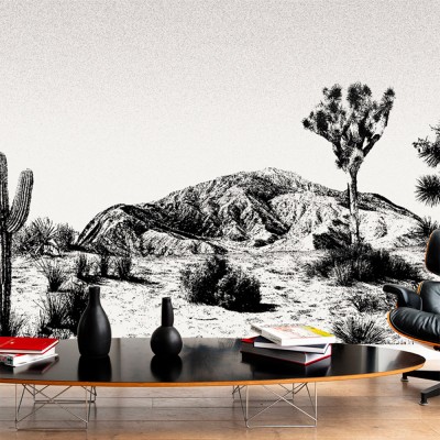 Arizona panorama wallpaper blanco y negro