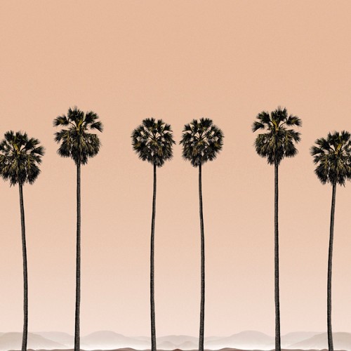 Palm trees wallpaper Edito Paris