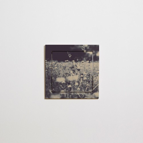 Fläpps 40x40 Wildes und freies Regal Ambivalenz