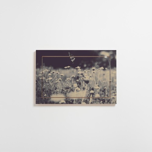 Fläpps 60x40 Wild and Free shelf Ambivalenz