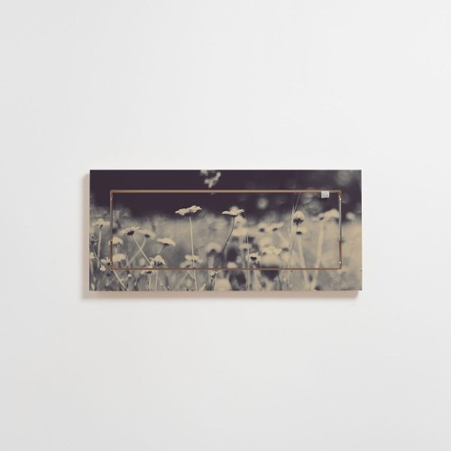 Estantería Fläpps 60x27 Wild and Free Ambivalenz