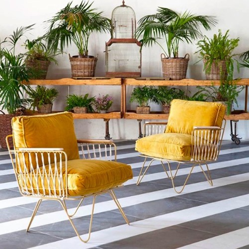 Sillón Croisette de terciopelo amarillo Honoré
