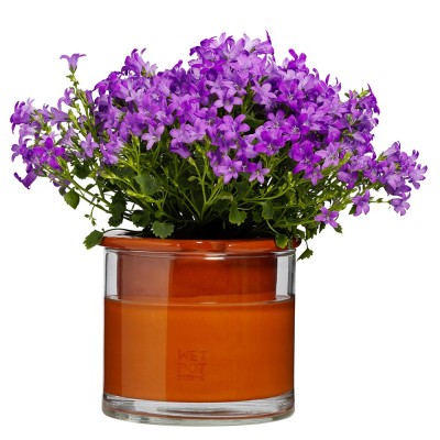 Pot met waterreserve Wet Pot S Wet Pot 2