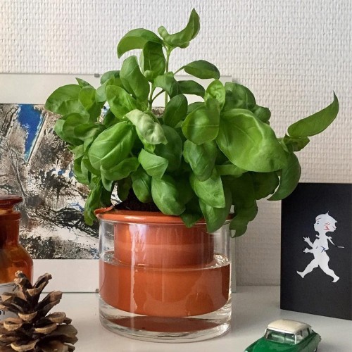 Pot met waterreserve Wet Pot XS Wet Pot