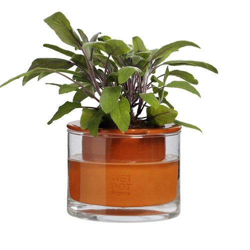 Pot met waterreserve Wet Pot XS Wet Pot