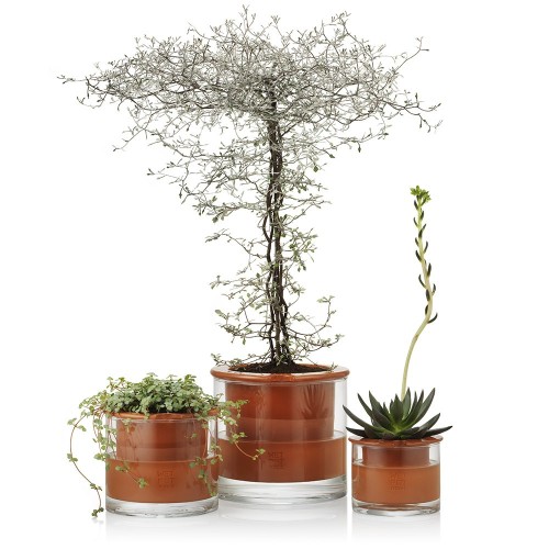 Maceta con reserva de agua Wet Pot XS Wet Pot