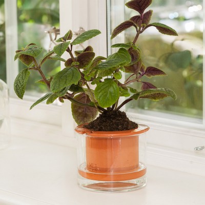 Pot met waterreserve Natte Pot M Wet Pot Wet Pot