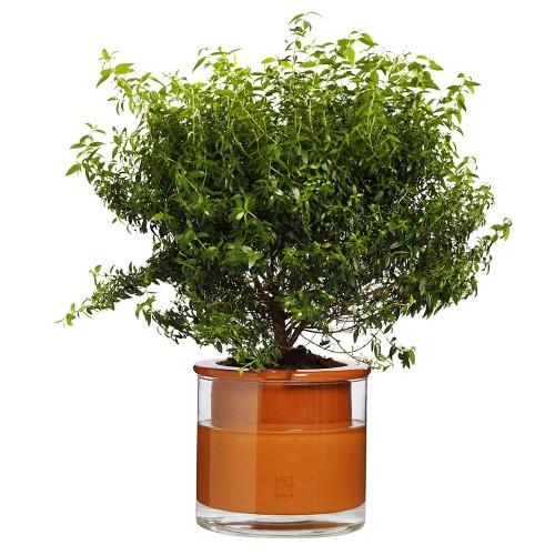 Pot met waterreserve Natte Pot M Wet Pot
