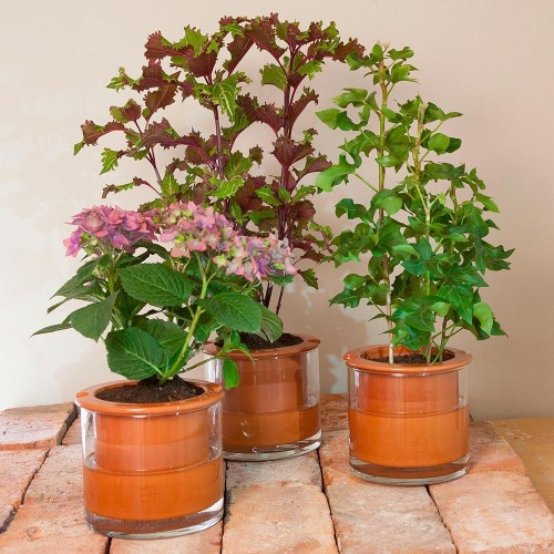 Topf mit Wasserreserve Wet Pot L. Wet Pot