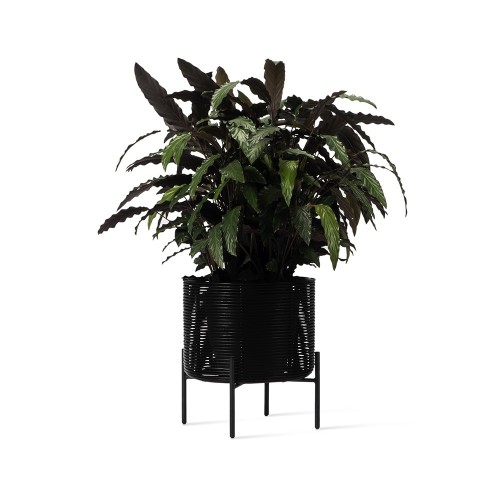 Blumentopf Ivo M Vincent Sheppard