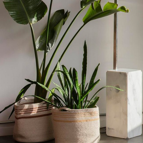 Cestino di caramelle gemelle Lorena Canals