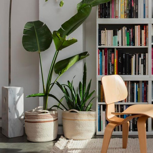 Twin Toffee Basket Lorena Canals