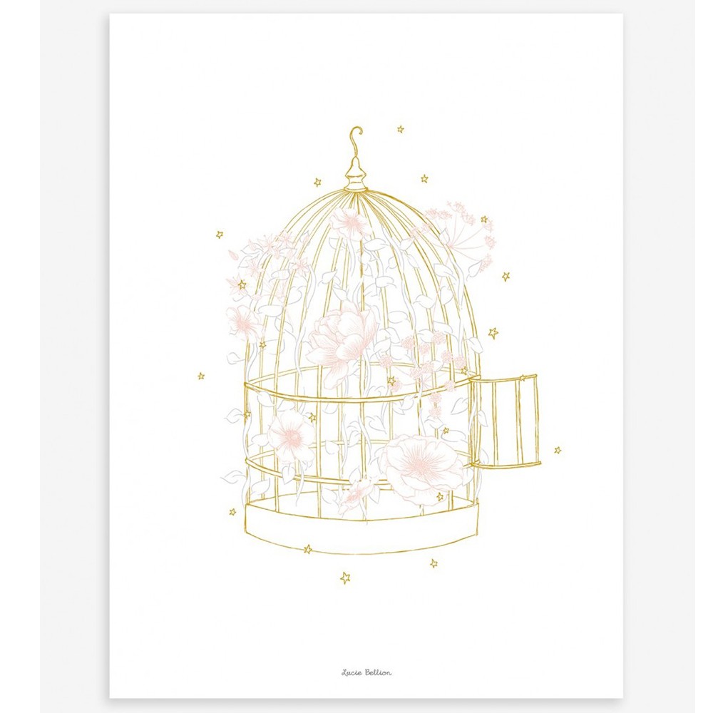 Affiche cage fleurie BOTANY