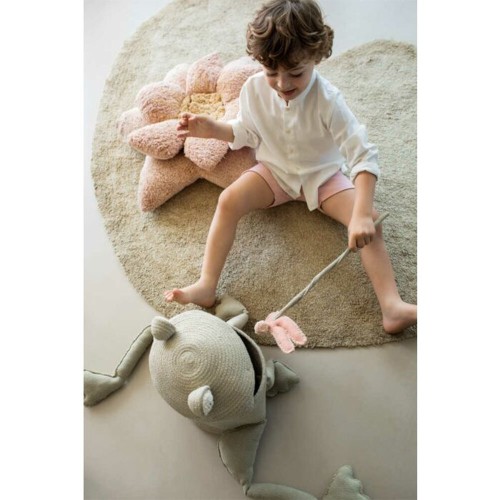 Fred La Grenouille basket