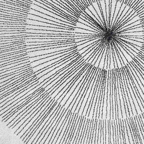 Gray Dandelion Rug Edito Paris