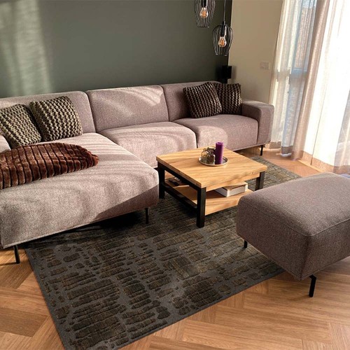 Alfombra Chiara 1018 - gris/tabaco