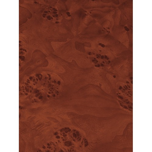 Table basse de rangement en ronce - Teinté foncé