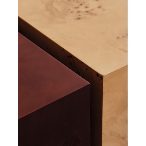 Storage coffee table in burl