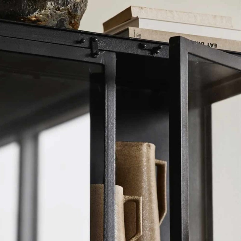 Black Cabinet Phoenix, 2 doors