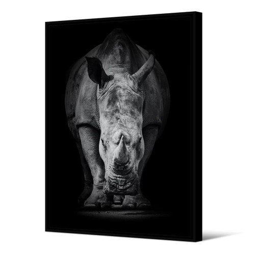 Tableau Diceros Bicornis en velours